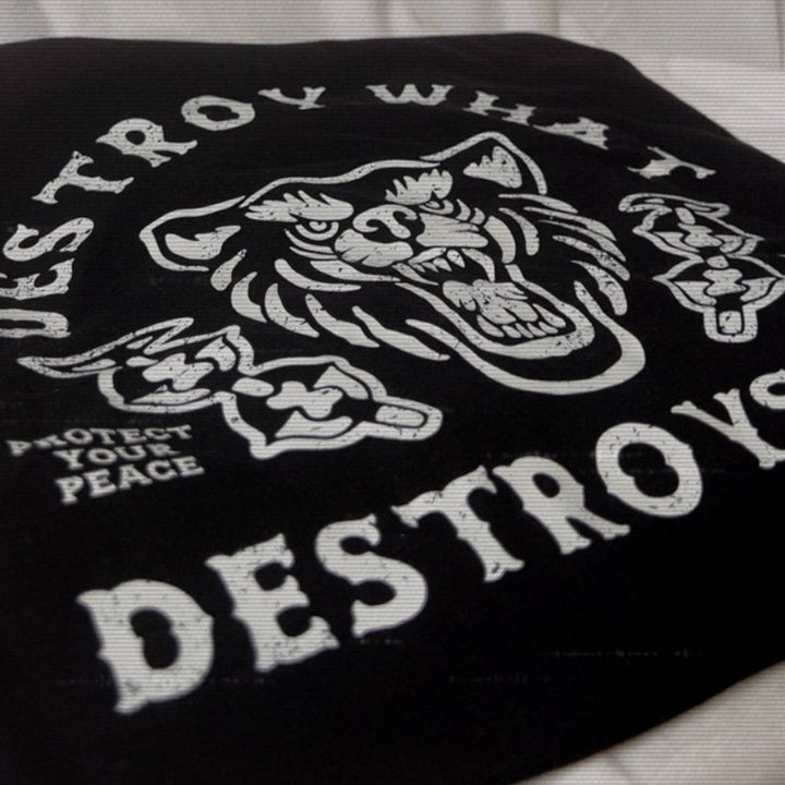 Destroy What Destroys You Hoodie - Fire Inside Me - 