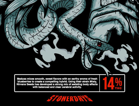 Medusa Tank - Tops - Fire Inside Me - 